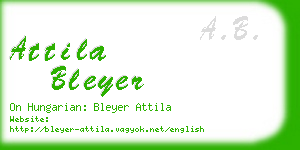 attila bleyer business card